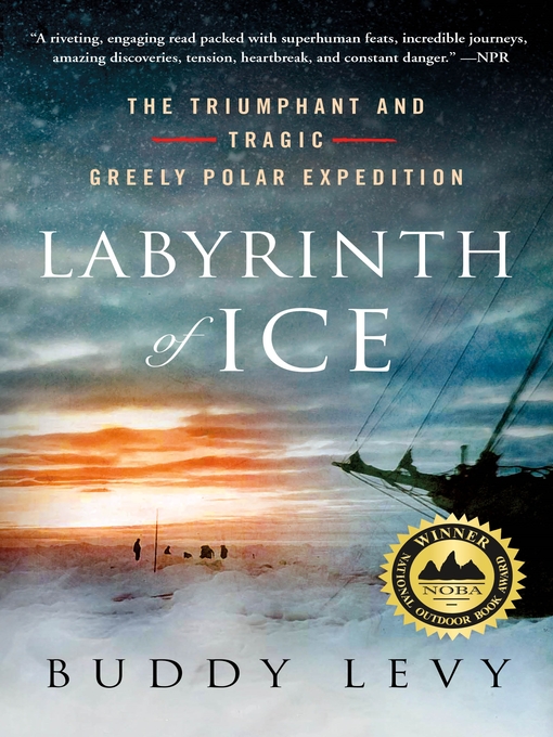 Cover image for Labyrinth of Ice